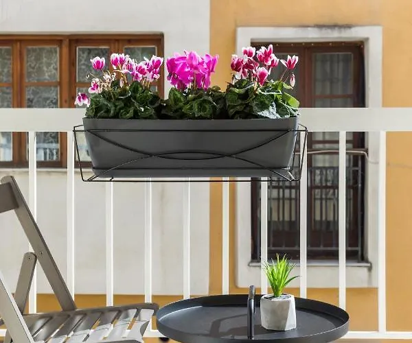 Apartment Homey Skg *