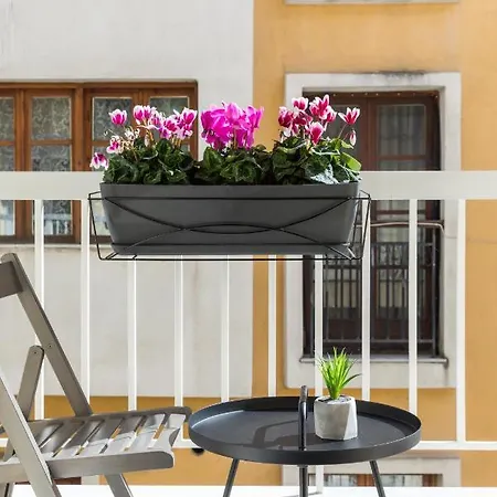 Appartement Homey Skg *